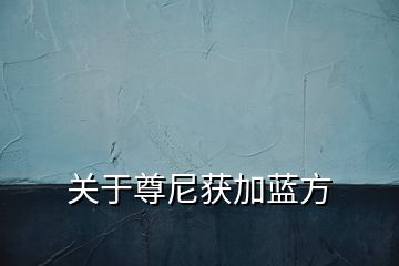 關(guān)于尊尼獲加藍方