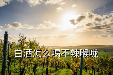 白酒怎么喝不辣喉嚨