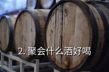 2. 聚會(huì)什么酒好喝
