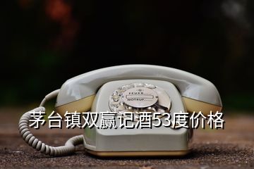 茅臺鎮(zhèn)雙贏記酒53度價(jià)格