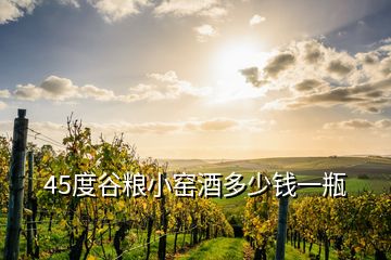 45度谷糧小窯酒多少錢(qián)一瓶