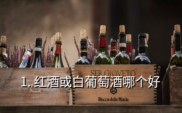 1. 紅酒或白葡萄酒哪個好