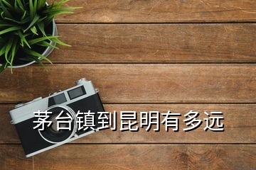 茅臺(tái)鎮(zhèn)到昆明有多遠(yuǎn)