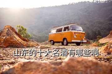 山東的十大名酒有哪些啊