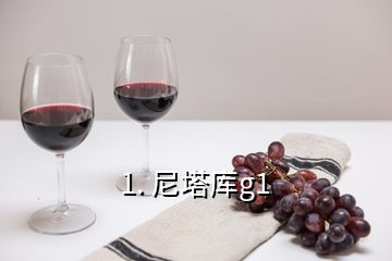 1. 尼塔庫g1