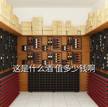 這是什么酒 值多少錢(qián)啊