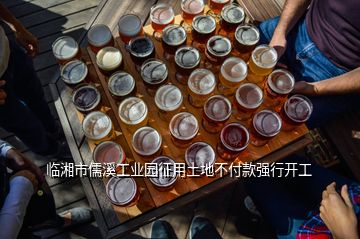 臨湘市儒溪工業(yè)園征用土地不付款強(qiáng)行開(kāi)工