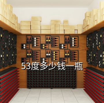53度多少錢一瓶