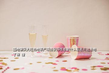 國電肇慶大旺熱電聯(lián)產(chǎn)項(xiàng)目獲得核準(zhǔn)是什么意思開始發(fā)電了嘛  搜