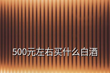 500元左右買(mǎi)什么白酒