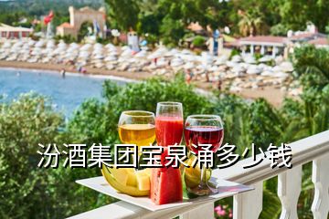 汾酒集團寶泉涌多少錢