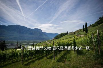十二年珍藏醬香型 53度 青花瓷酒瓶多少錢(qián)一瓶