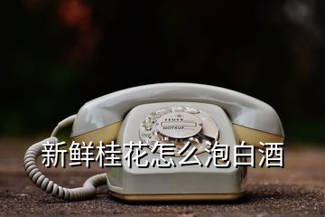 新鮮桂花怎么泡白酒