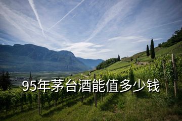 95年茅臺(tái)酒能值多少錢(qián)