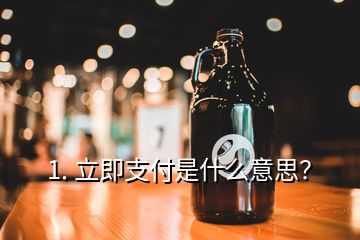 1. 立即支付是什么意思？
