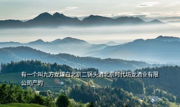 有一個(gè)叫九方龍罐白北京二鍋頭酒北京時(shí)代坊龍酒業(yè)有限公司產(chǎn)的