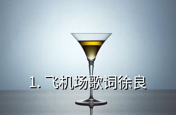 1. 飛機(jī)場(chǎng)歌詞徐良
