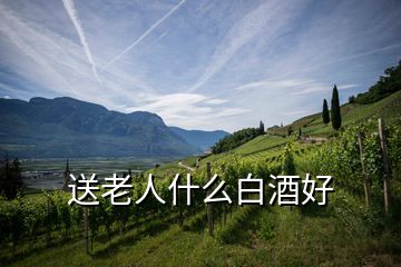 送老人什么白酒好