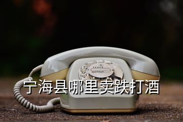 寧?？h哪里賣跌打酒