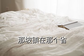 那坡鎮(zhèn)在那個(gè)省