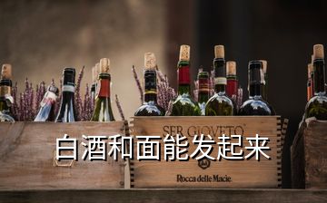 白酒和面能發(fā)起來