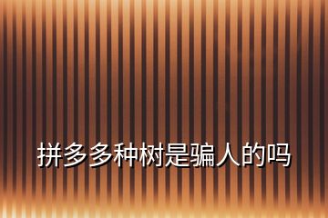 拼多多種樹(shù)是騙人的嗎