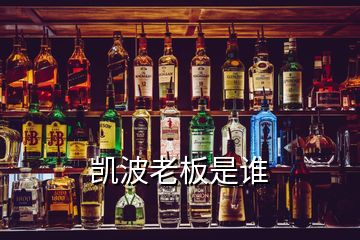 凱波老板是誰(shuí)