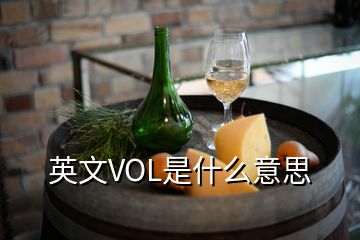 英文VOL是什么意思