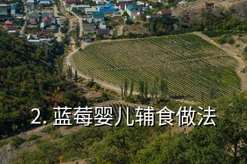 2. 藍(lán)莓?huà)雰狠o食做法