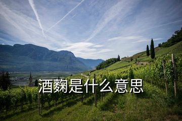 酒麴是什么意思
