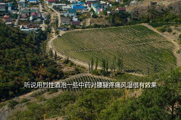 聽說用烈性酒泡一些中藥對腰腿疼痛風濕很有效果