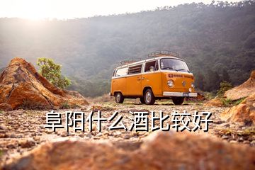 阜陽什么酒比較好