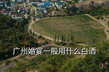 廣州婚宴一般用什么白酒