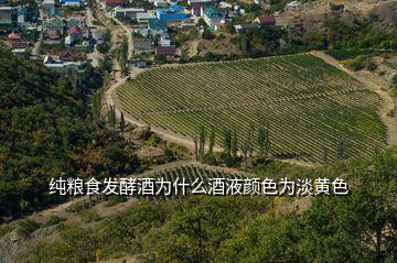 純糧食發(fā)酵酒為什么酒液顏色為淡黃色