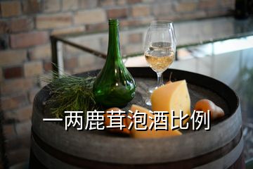 一兩鹿茸泡酒比例