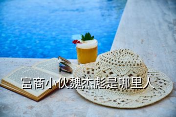 富商小伙魏杰彪是哪里人