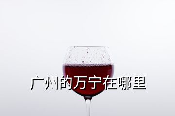 廣州的萬寧在哪里