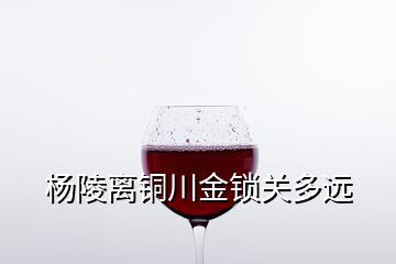 楊陵離銅川金鎖關(guān)多遠