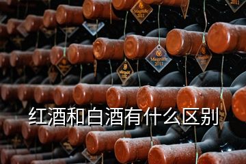 紅酒和白酒有什么區(qū)別