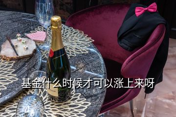 基金什么時(shí)候才可以漲上來呀