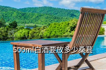 500ml白酒要放多少桑葚