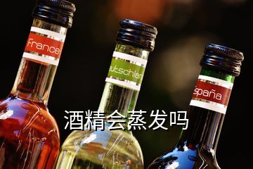 酒精會(huì)蒸發(fā)嗎