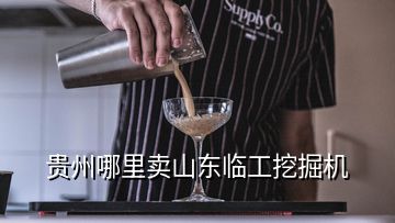 貴州哪里賣山東臨工挖掘機