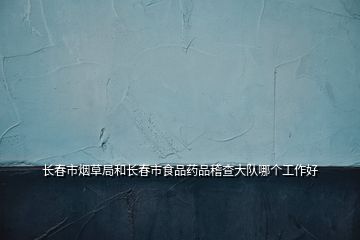 長春市煙草局和長春市食品藥品稽查大隊哪個工作好