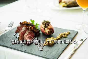 青島啤酒青島的那幾個(gè)廠的電話(huà)是多少