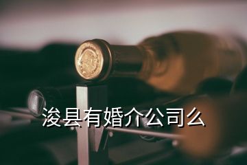 浚縣有婚介公司么