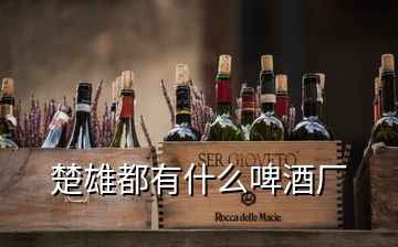 楚雄都有什么啤酒廠