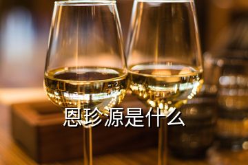 恩珍源是什么