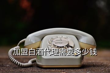 加盟白酒代理需要多少錢(qián)
