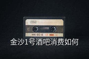 金沙1號(hào)酒吧消費(fèi)如何